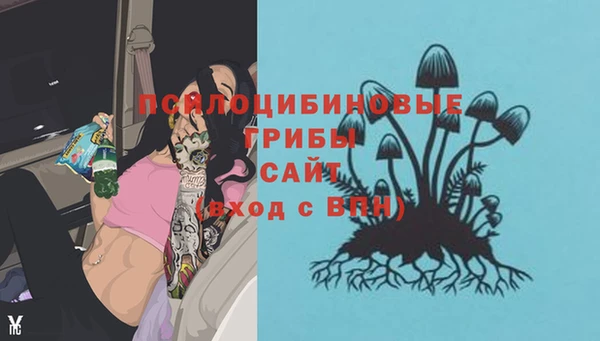 прущий лед Алексеевка