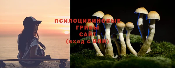 прущая мука Алзамай