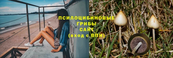 прущий лед Алексеевка
